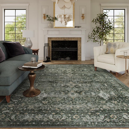 Moynesa Washable Area Rugs, Rugs for Bedroom Soft Rugs for Bedroom Aesthetic Boys,Retro Distressed Non Slip Throw Rug Carpet Dining Room Rugs for Under Table