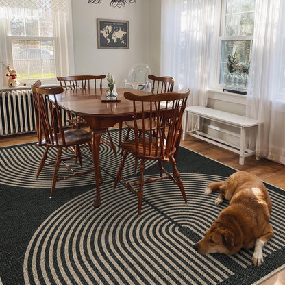 RUG ROBOT Modern Rainbow Easy Jute Rug, Patio Rug Washable Rugs for Entryway Farmhouse Area Rug, Non Slip Indoor Door Mat Contemporary Throw Rug for Laundry Guestroom Room Patio Decor